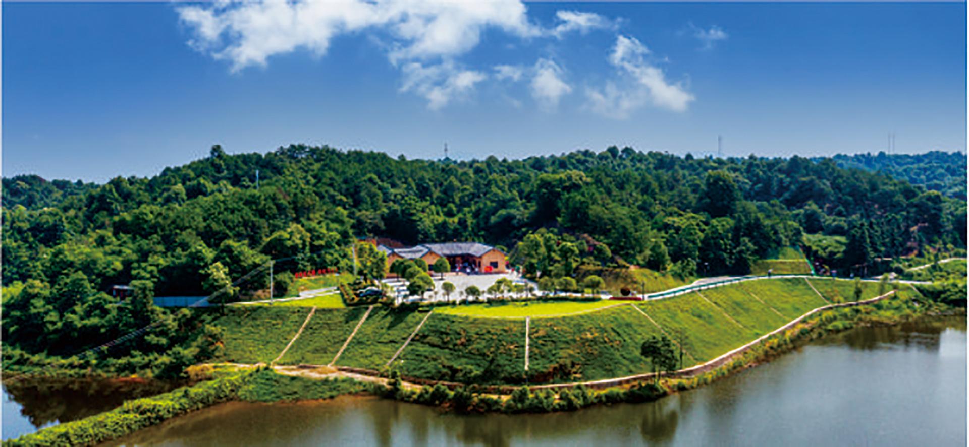 左权镇生态环境整治及现代农业发展乡村振兴项目